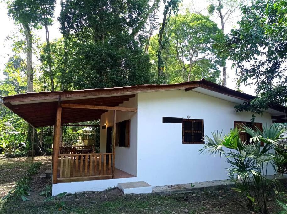 Green Papaya Villa Puerto Viejo de Talamanca Exterior foto